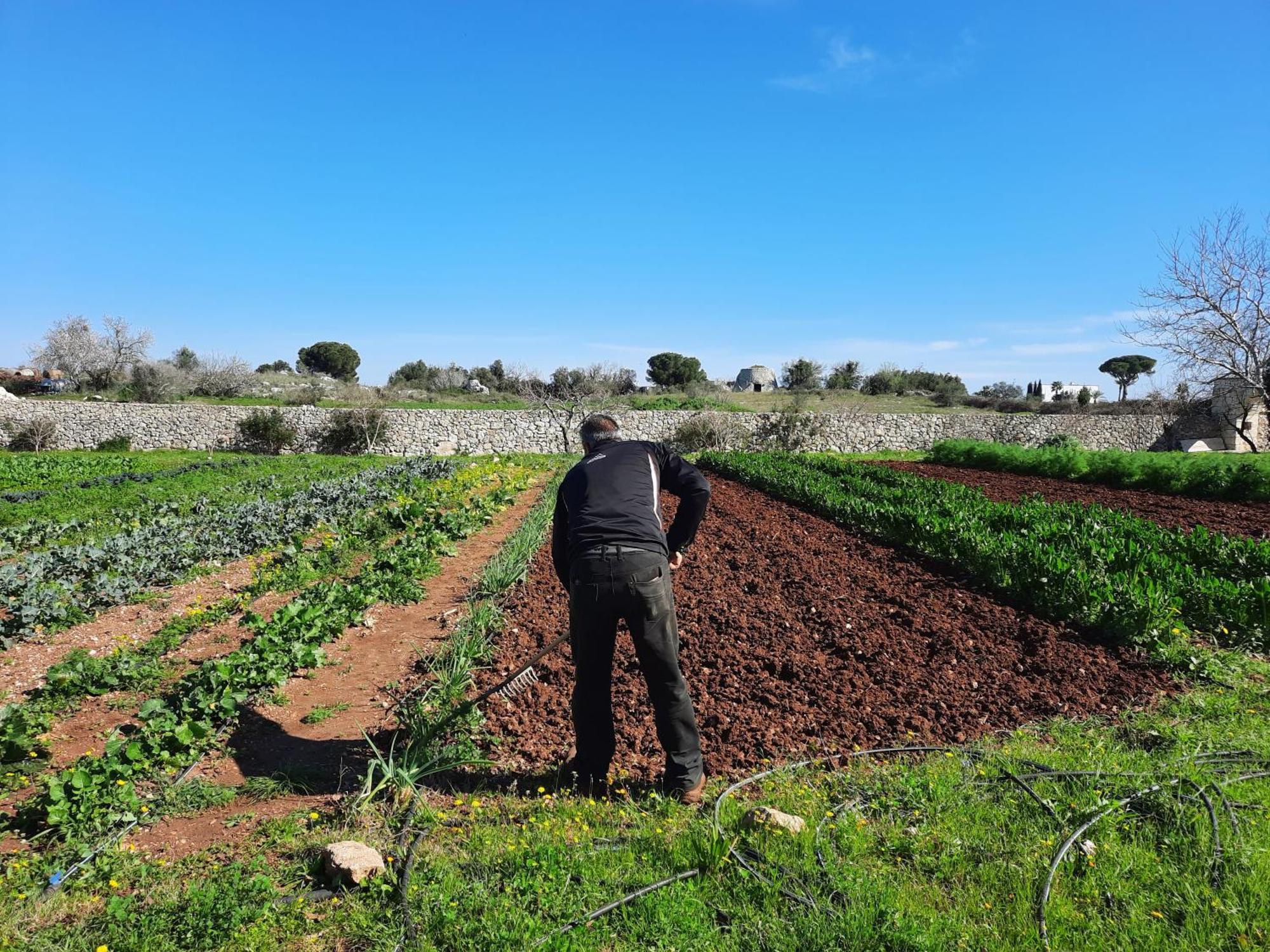 Masseria San Cosimo Carpignano Salentino Dış mekan fotoğraf